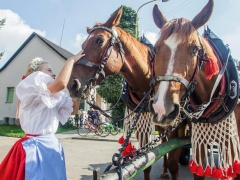 Prušánky, Vinobraní 2014