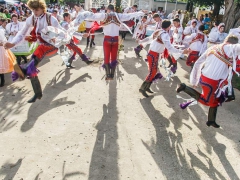 Prušánky, Vinobraní 2014