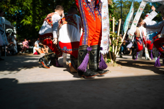 dsc07774_optimized