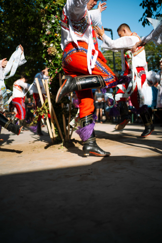 dsc07905_optimized